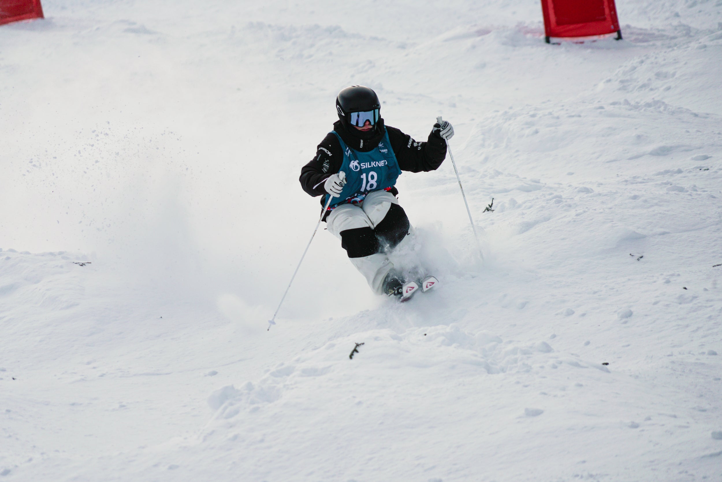 ID one ski ストック 白 カーボン 100cm ID One Skis – ID one Australia